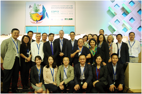 1482143424669574.png 秦院长3.png